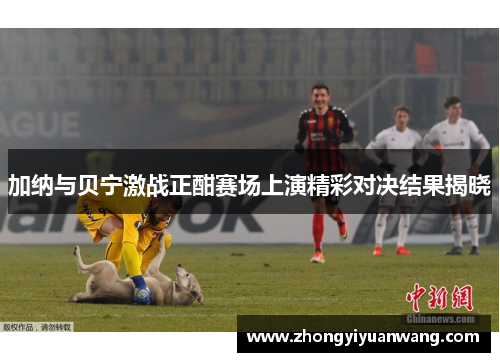 加纳与贝宁激战正酣赛场上演精彩对决结果揭晓